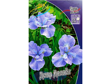 65,15���. ���� ��������� ���� ������(�������� ���� �� 2 ��., ����������� ����� 1��.).jpg