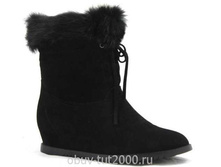 ���������� ������ ZINGARA ���������� ������ ZINGARA �������: 118-9-1/����� �������������: ����� 2500�