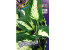 163,4���. ����� ���������(�������� ���� �� 1 ��., ����������� ����� 1��.).jpg