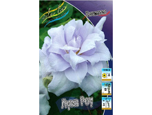 153,35���. �������� ���� ���(�������� ���� �� 2 ��., ����������� ����� 1��.).jpg