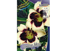 196,6���. �������� ����� ���(�������� ���� �� 1 ��., ����������� ����� 1��.).jpg