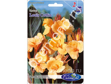 ���� ������.jpg