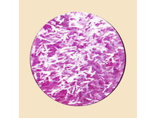 �� ��� Zebrano ��� ZB 406 ������-���������� �������� (����.3��).jpg