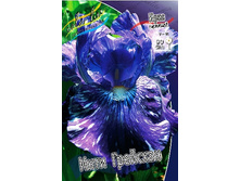 95,3���. ���� ���������� ���� ��������(�������� ���� �� 2 ��., ����������� ����� 1��.).jpg