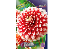 93,6���. �������� �����(�������� ���� �� 1 ��., ����������� ����� 1��.)���14.jpg