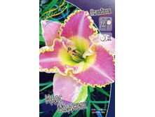 188,3���. �������� ���� ������(�������� ���� �� 1 ��., ����������� ����� 1��.).jpg