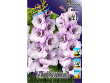 10,19���. ��������� ��������(���������� ������ ������ ���������� �� 8 ��.).jpg