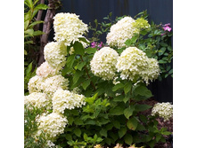 301���. ��������� ����������� ���� ����.jpg