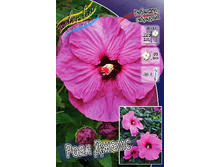 229,8���. �������� ��������� ���� �����(�������� ���� �� 1 ��., ����������� ����� 1��.).jpg