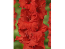 10,19���. ��������� ��������(���������� ������ ������ ���������� �� 8 ��.)���16.jpg