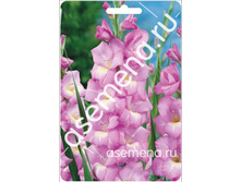 ���� ����.jpg