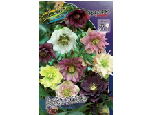 263���. �������� ���� �����(�������� ���� �� 1 ��., ����������� ����� 1��.).jpg