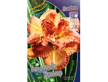 196,6���. �������� ��������� ������(�������� ���� �� 1 ��., ����������� ����� 1��.).jpg