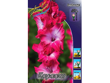 10,19���. ��������� �������(���������� ������ ������ ���������� �� 8 ��.).jpg