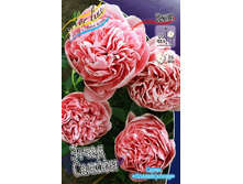 1092,3���. ���� ����� ������(�������� ���� �� 1 ��., ����������� ����� 1��.).jpg