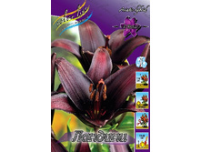 35,66���. ����� �������(�������� ���� �� 5 ��., ����������� ����� 1��.).jpg