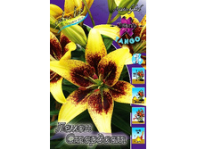 32,04���. ����� ����� ��������(�������� ���� �� 5 ��., ����������� ����� 1��.).jpg