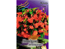 45,86���. ������� ������� ���������(�������� ���� �� 5 ��., ����������� ����� 1��.).jpg