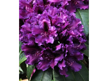 301���. ����������� ��������� ������.jpg