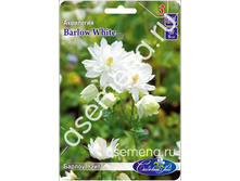 ������ ����.jpg