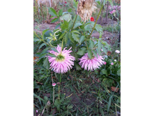 20151006 063457.jpg