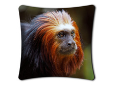 ������� �������� (����������)+ html 57024cb6.jpg