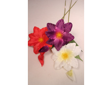 401/0061� �������� - 34