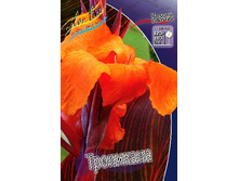 93,8���. ����� (�����) ���������(�������� ���� �� 1 ��., ����������� ����� 1��.).jpg