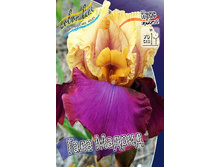 95,3���. ���� ���������� ���� �������(�������� ���� �� 2 ��., ����������� ����� 1��.).jpg