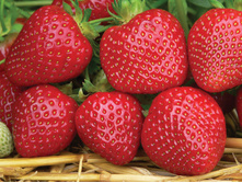 30,7���. ��������� ������� �����(���������� ������ ������ ���������� �� 5 ��.)���15.jpg