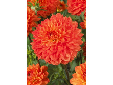 94���. �������� ����� ����(�������� ���� �� 1 ��., ����������� ����� 1��.)���15.jpg