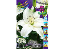 21,9���. ����� ��� ����(�������� ���� �� 7 ��., ����������� ����� 1��.).jpg