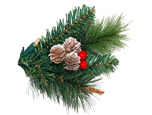 ���� ���������� � ������� � ������� , 100 �� � ���.jpg