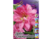 46,04���. ����� ���� ��������(�������� ���� �� 5 ��., ����������� ����� 1��.)���15.jpg