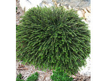 117���. ��������� ��������������.jpg