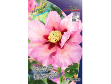 1506,9���. ���� ������� �������� (���)(�������� ���� �� 1 ��., ����������� ����� 1��.).jpg