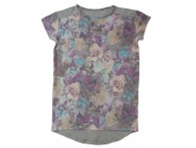 ������ ��� ������� MINISTARS �������: �-1679