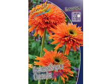 271,2���. �������� ��������� �����(�������� ���� �� 1 ��., ����������� ����� 1��.).jpg