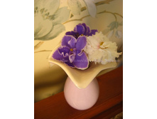 ������� �� Perfect Harmony � �� �������� �����