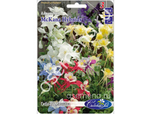 ������ �������.jpg