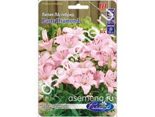 ���� �������.jpg