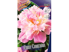 283,7���. ���� ���� �������(�������� ���� �� 1 ��., ����������� ����� 1��.).jpg