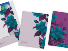 33629 �����-������ (A4) 4 ��. Night illusion ������� 111,62.jpg