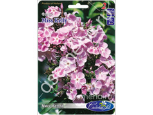 ���� �����.jpg