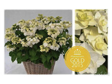 ���������  ������ ������-287