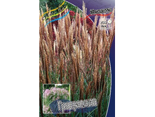 107���. ��������� ���������(�������� ���� �� 1 ��., ����������� ����� 1��.).jpg