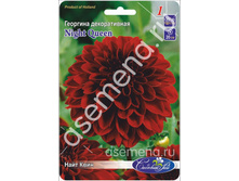 ���� ����.jpg