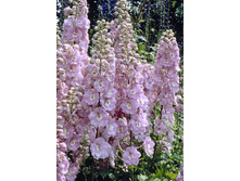 188,3���. ���������� ���������� ����(�������� ���� �� 1 ��., ����������� ����� 1��.).jpg