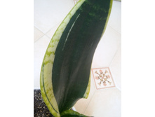 20151005 115334 HDR.jpg