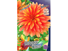 92,2���. �������� ������ �����(�������� ���� �� 1 ��., ����������� ����� 1��.).jpg